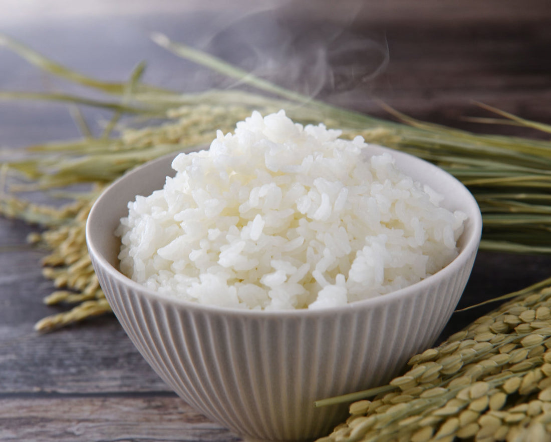 白米の栄養は不足してる?精米の基礎栄養と新潟こしひかりの美味しい炊き方