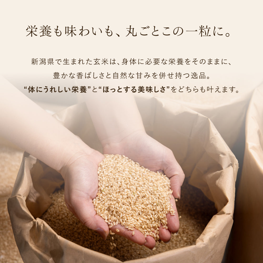 栄養も味わいも、丸ごとこの一粒に。
新潟県で生まれた玄米は、身体に必要な栄養をそのままに、
豊かな香ばしさと自然な甘みを併せ持つ逸品。
“体にうれしい栄養”と“ほっとする美味しさ”をどちらも叶えます