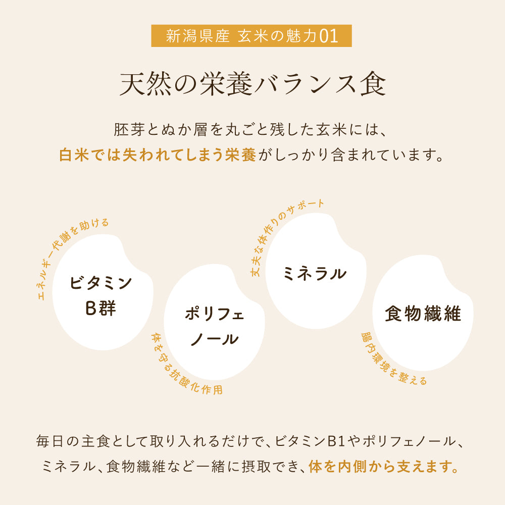 新潟県産 玄米の魅力01
天然の栄養バランス食
胚芽とぬか層を丸ごと残した玄米には、
白米では失われてしまう栄養がしっかり含まれています。
日の主食として取り入れるだけで、ビタミンB1やポリフェノール、
ミネラル、食物繊維など一緒に摂取でき、体を内側から支えます。