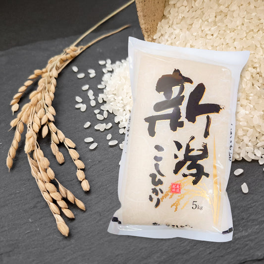 【新潟県産】新潟こしひかり【5kg】|令和7年産