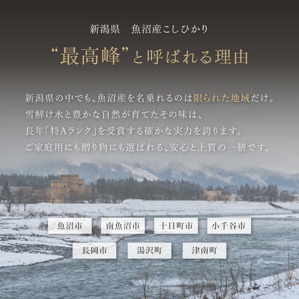 魚沼産こしひかりの特徴 - 澄んだ水と寒暖差が育てた