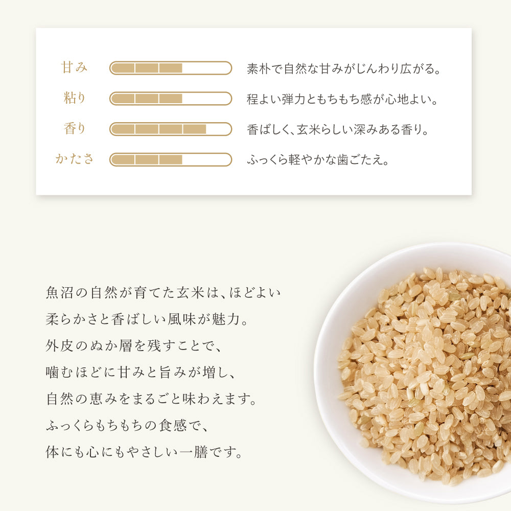 魚沼産こしひかり玄米の特徴 - ビタミンと食物繊維豊富