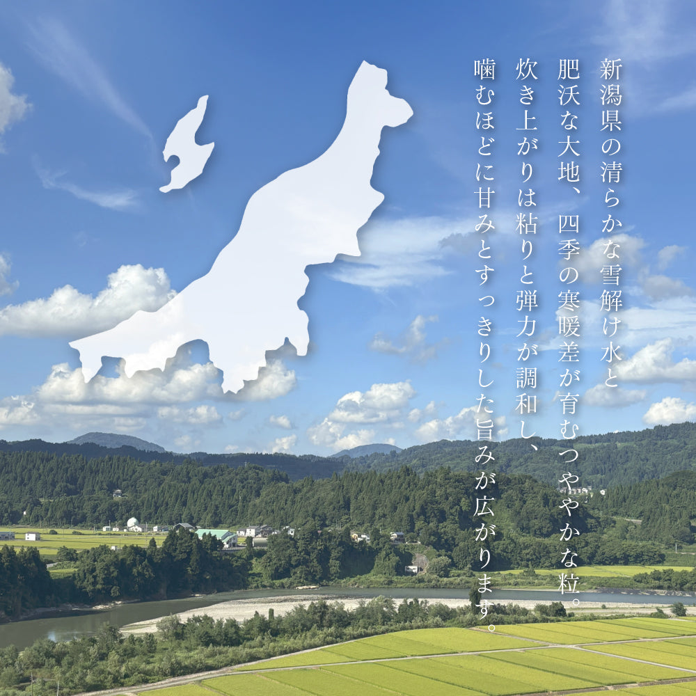 新潟県の清らかな雪解け水と
肥沃な大地、四季の寒暖差が育むつややかな粒。
炊き上がりは粘りと弾力が調和し、
噛むほどに甘みとすっきりした旨みが広がります。