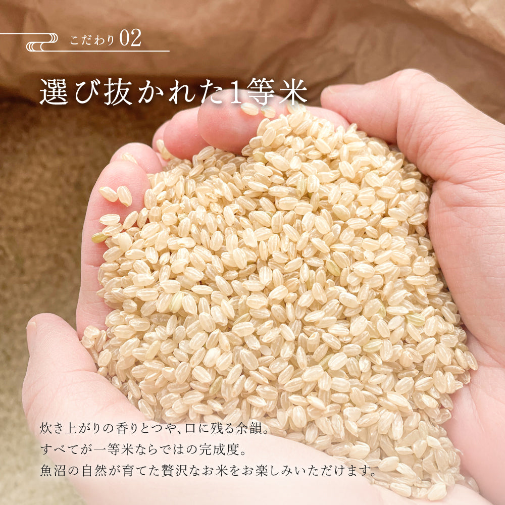 魚沼産こしひかり玄米の調理例 - 自然の力を感じる一杯