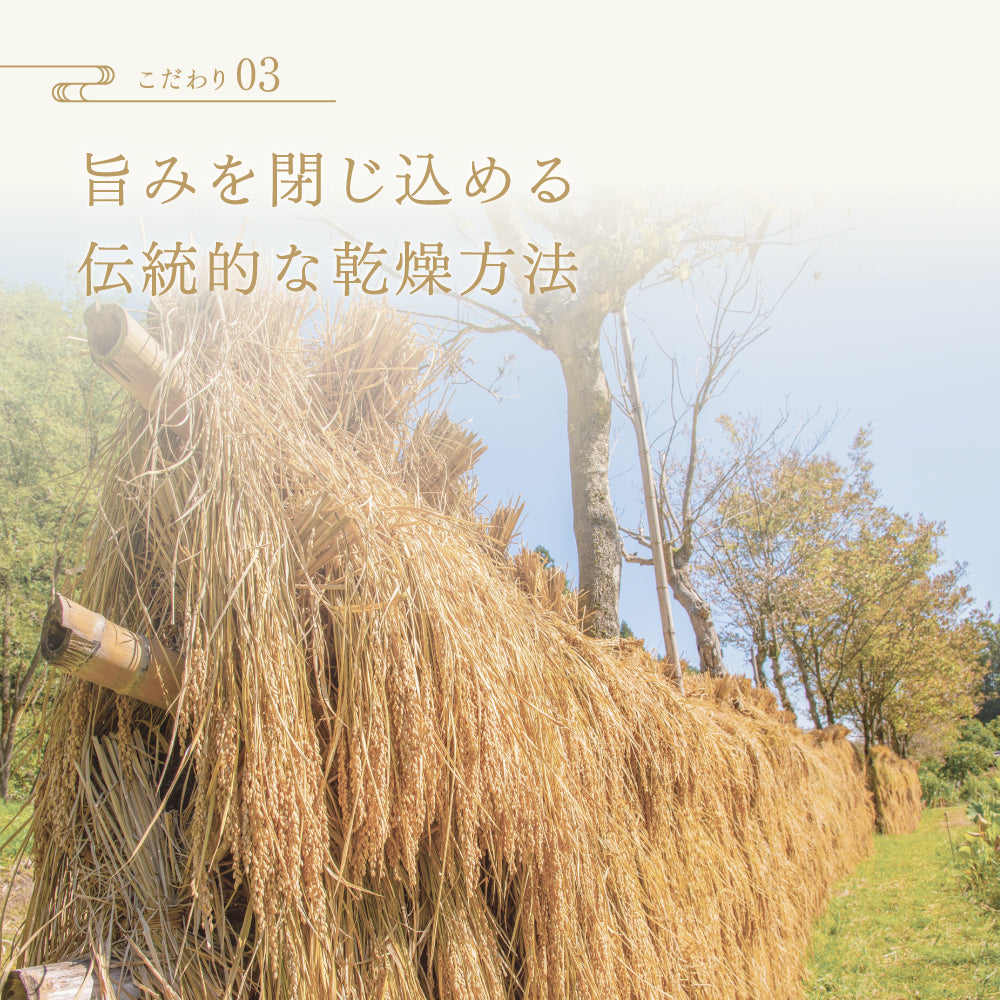 天日干しこしひかり5kgの内容 - 令和7年産新米