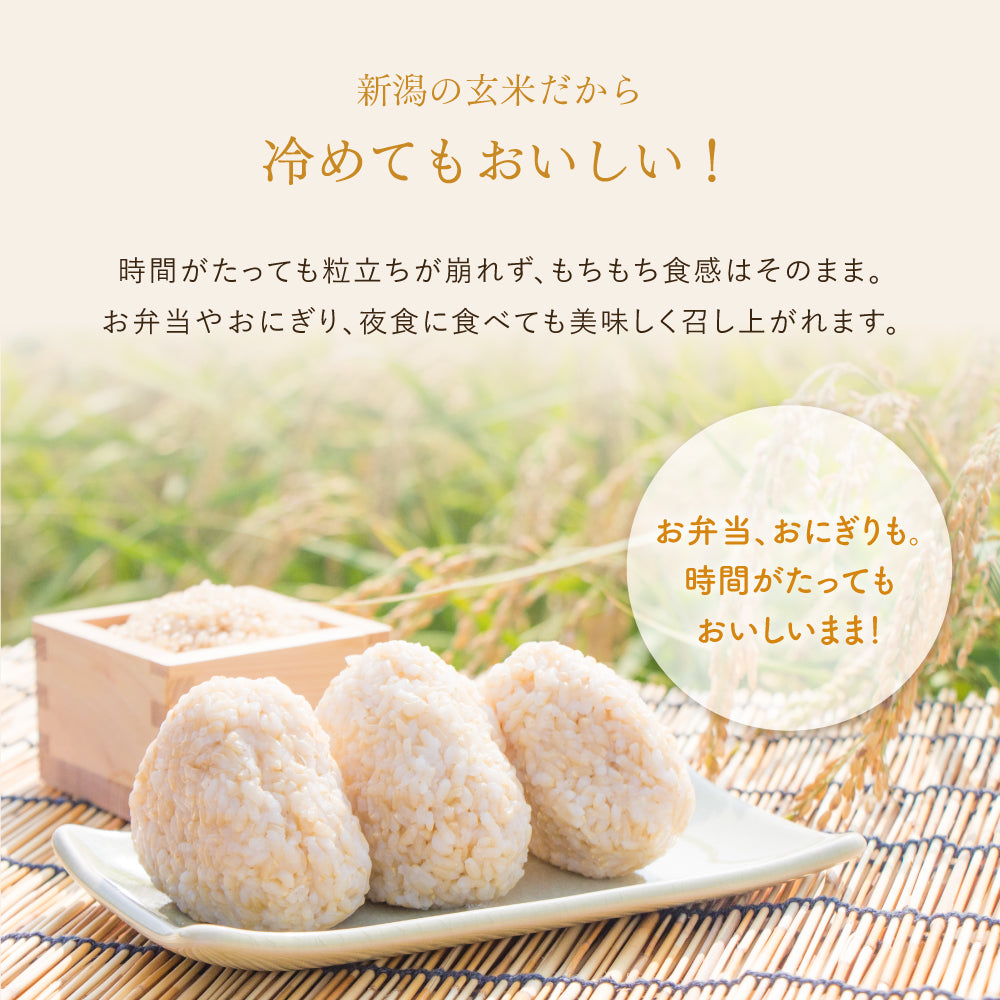 新潟の玄米だから
冷めてもおいしい!
時間がたっても粒立ちが崩れず、もちもち食感はそのまま。
お弁当やおにぎり、夜食に食べても美味しく召し上がれます。
「お弁当、おにぎりも。時間がたってもおいしいまま!」