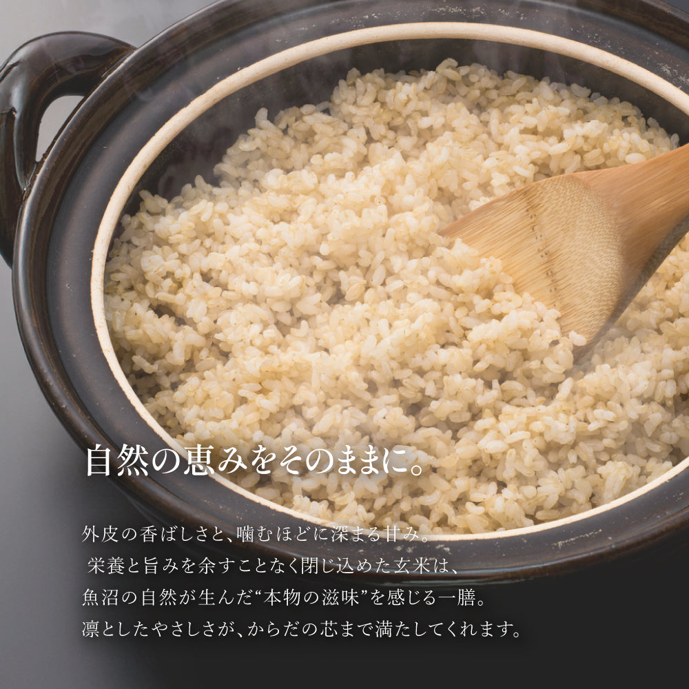 魚沼産こしひかり玄米の商品パッケージ - 新潟県産5kg天日干し令和7年産