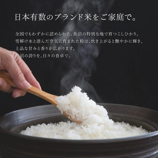 新潟県|魚沼産こしひかり【5kg】|天日干し|令和7年産