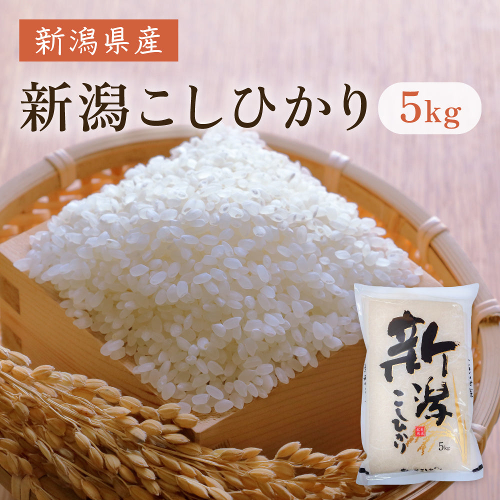 【新潟県産】新潟こしひかり【5kg】