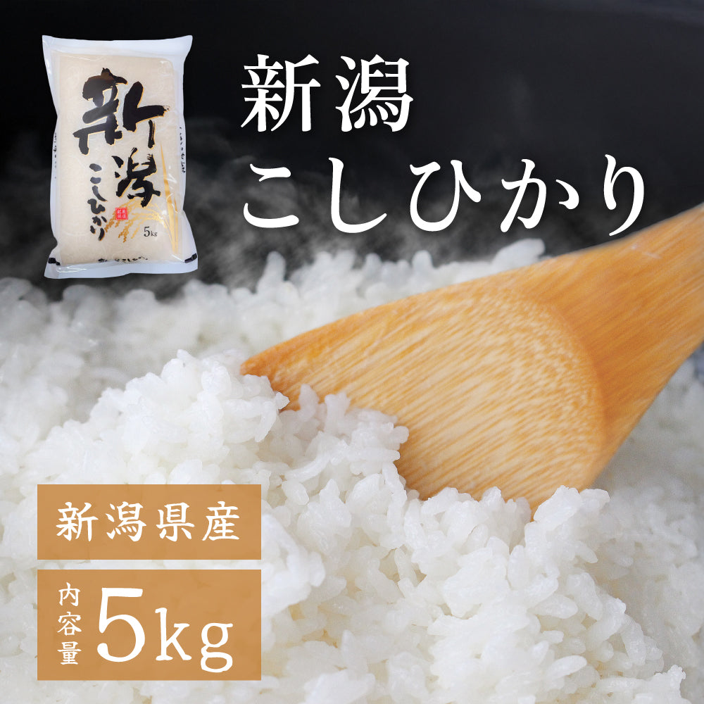 【新潟県産】新潟こしひかり【5kg】