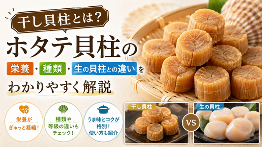 貝柱とは？ホタテ貝柱の栄養・種類・干し貝柱との違いをわかりやすく解説