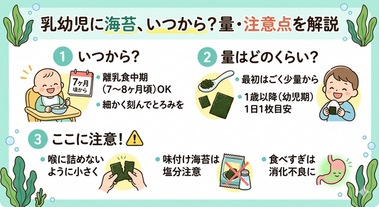 乳幼児に海苔を食べさせてもよい？いつから・量・注意点を解説