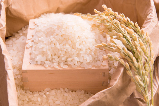 新潟コシヒカリの特徴は？他ブランド米との違いを味・香り・粘りで徹底比較