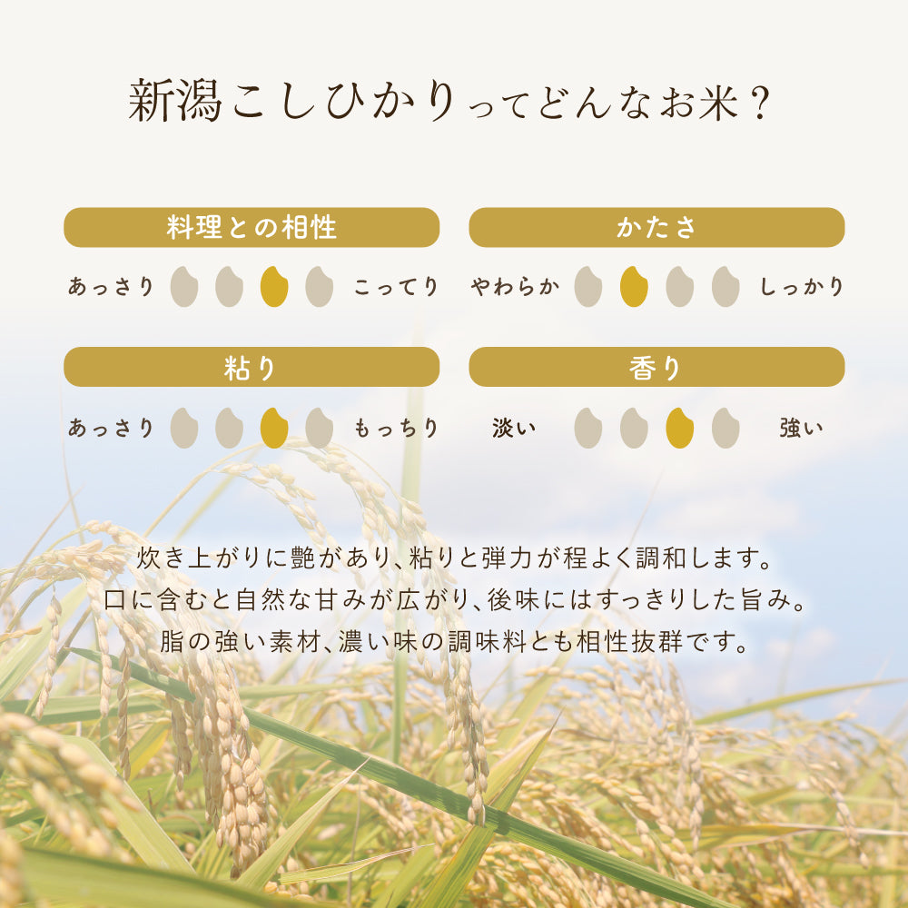 新潟こしひかりってどんなお米？

炊き上がりに艶があり、粘りと弾力が程よく調和します。
口に含むと自然な甘みが広がり、後味にはすっきりした旨み。
脂の強い素材、濃い味の調味料とも相性抜群です。