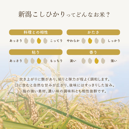 新潟こしひかりってどんなお米？

炊き上がりに艶があり、粘りと弾力が程よく調和します。
口に含むと自然な甘みが広がり、後味にはすっきりした旨み。
脂の強い素材、濃い味の調味料とも相性抜群です。