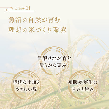 新潟県｜魚沼産こしひかり【5kg】｜天日干し｜令和７年産
