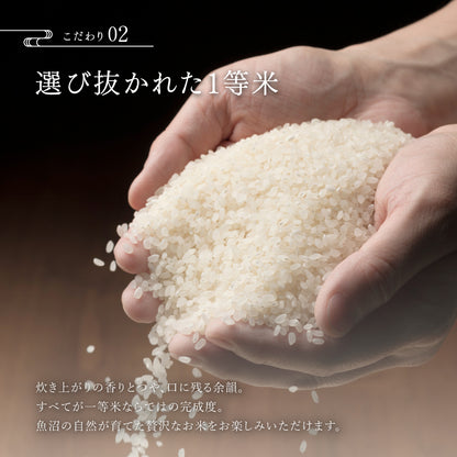 新潟県｜魚沼産こしひかり【5kg】｜天日干し｜令和７年産