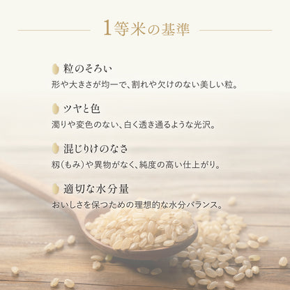 新潟県 | 魚沼産こしひかり 玄米【5kg】｜天日干し｜令和７年産
