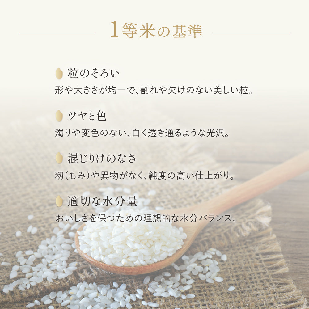 新潟県｜魚沼産こしひかり【5kg】｜天日干し｜令和７年産