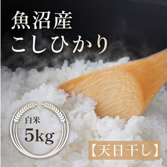 新潟県｜魚沼産こしひかり【5kg】｜天日干し｜令和７年産