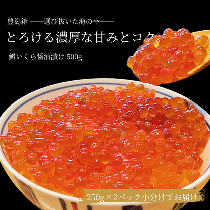【極上】鱒いくら 醤油漬け 500g（250g×2パック）小分け マルワフーズ謹製 北海道釧路加工