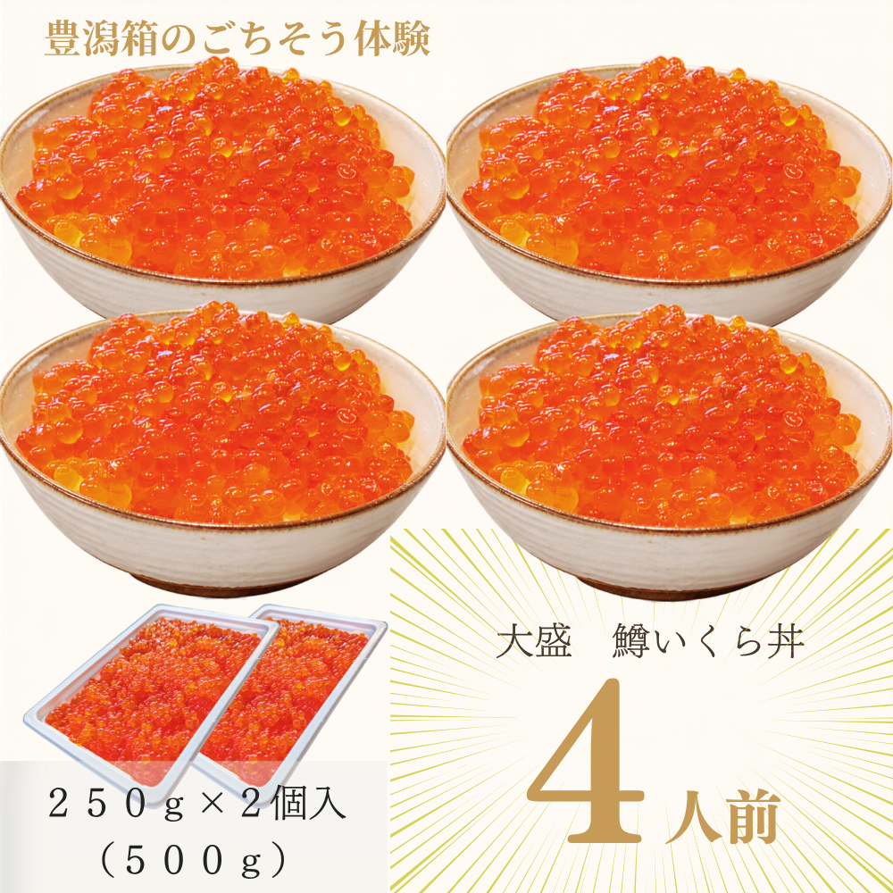 【極上】鱒いくら 醤油漬け 500g（250g×2パック）小分け マルワフーズ謹製 北海道釧路加工