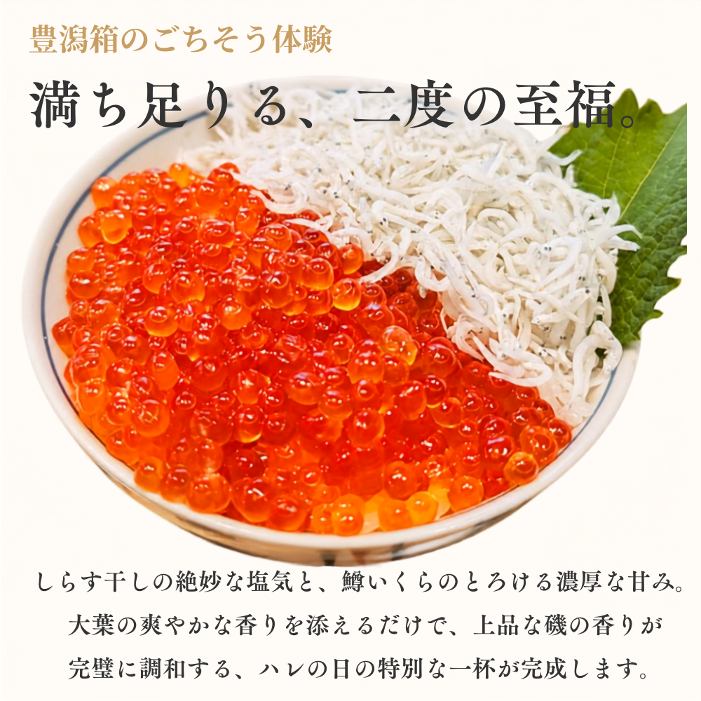【極上】鱒いくら 醤油漬け 500g（250g×2パック）小分け マルワフーズ謹製 北海道釧路加工