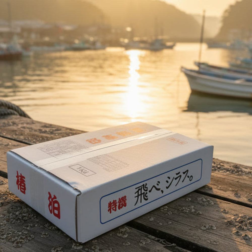 しらす干し｜徳島県産｜冷凍 ｜1kg｜ふっくら食感でご家庭用や贈答用に最適