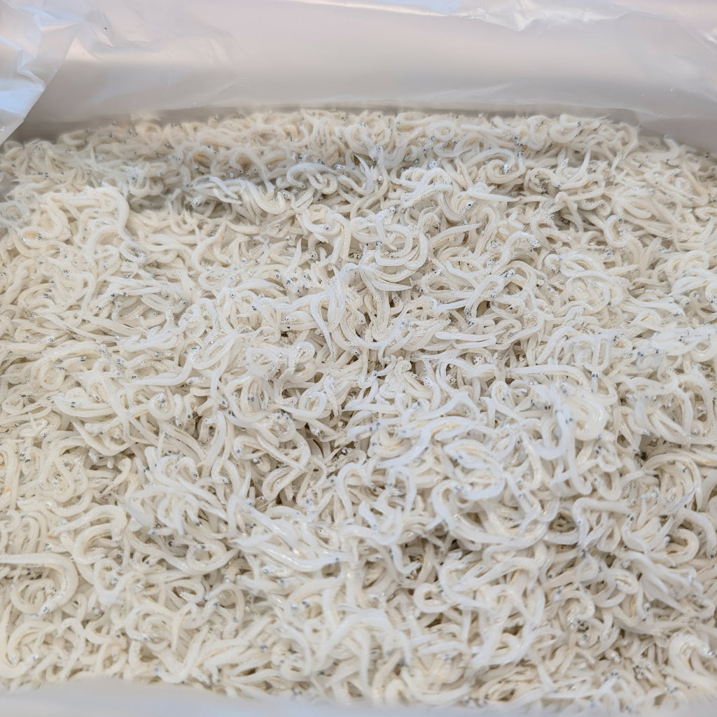 しらす干し｜徳島県産｜冷凍 ｜1kg｜ふっくら食感でご家庭用や贈答用に最適