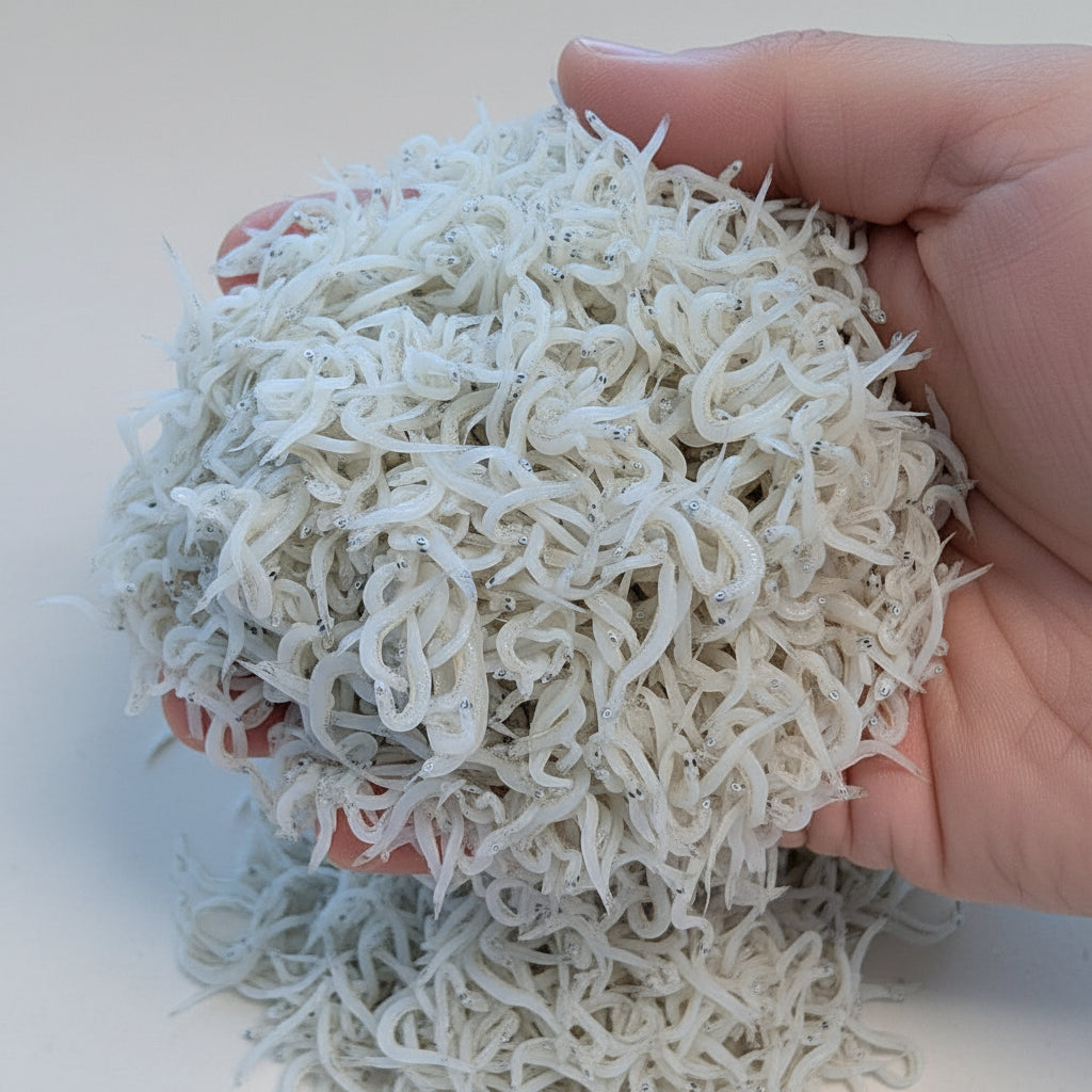 しらす干し｜徳島県産｜冷凍 ｜1kg｜ふっくら食感でご家庭用や贈答用に最適