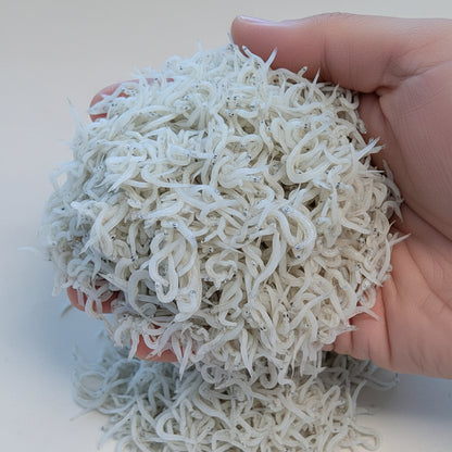 しらす干し｜徳島県産｜冷凍 ｜1kg｜ふっくら食感でご家庭用や贈答用に最適